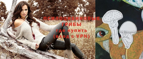 марки lsd Гусев