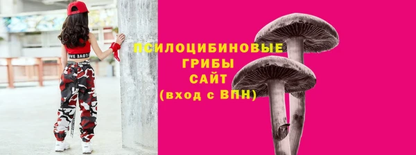 молекула духа Гусь-Хрустальный