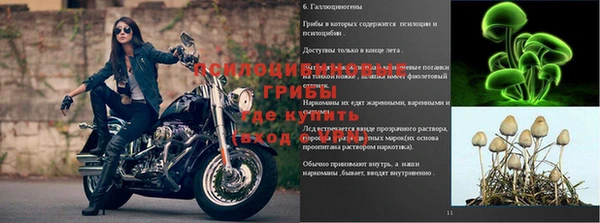 молекула духа Гусь-Хрустальный