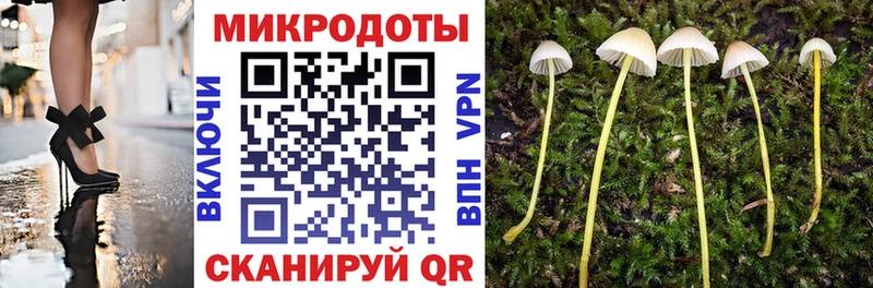 Галлюциногенные грибы Psilocybine cubensis  Купить где  Нестеров 