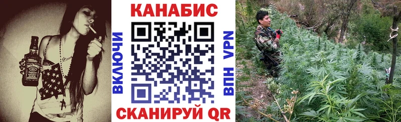 Купить где  Нестеров  Шишки марихуана планчик 